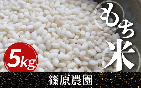 米 もち米 令和7年産 新米 5kg もちみのり 米 こめ お米