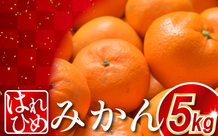 みかん 約5kg はれひめ 蜜柑 柑橘 みかん みかん みかん