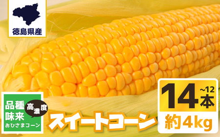 とうもろこし 約4kg スイートコーン とうもろこし とうもろこし とうもろこし
