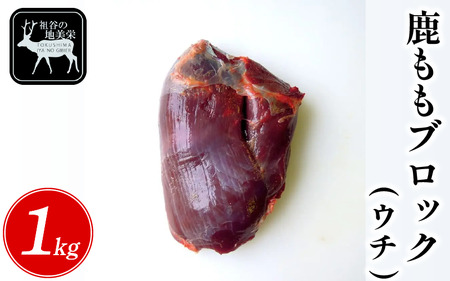 yODscJYzcJ̒nh   ubN E` 1kg   WrG nh I  Y wV[ J[ ς ᎉ ē BBQ o[xL[ Xe[L [Xg
