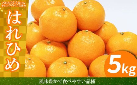 みかん はれひめ 5kg 先行予約 蜜柑 はれひめ はれひめ はれひめ はれひめ