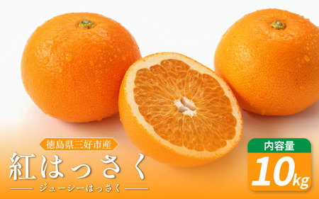 みかん はっさく 10kg 紅はっさく 先行予約 八朔 はっさくはっさくはっさく