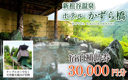 新祖谷温泉ホテルかずら橋 宿泊券 30,000円分 旅行[ 旅行 ]