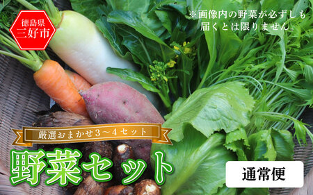 野菜 おまかせ セット 3〜4種 旬の野菜 詰め合わせ 野菜 野菜 野菜