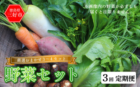 野菜 おまかせ セット 3〜4種 旬の野菜 詰め合わせ 定期便 3回 野菜 野菜 野菜