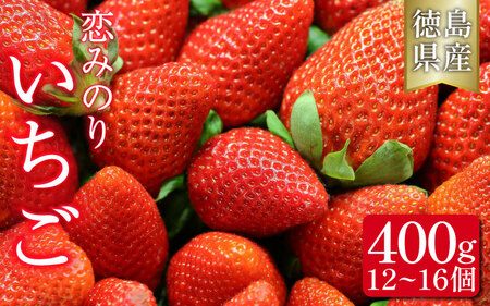 いちご 恋みのり 400g 苺 果物 フルーツ ストロベリー [ いちご ]