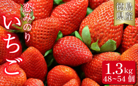 1.3kg ݂̂ { ʕyz