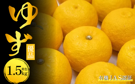 有機ゆず 優品 1.5kg 黄色柚子 ゆず玉 [柚子]