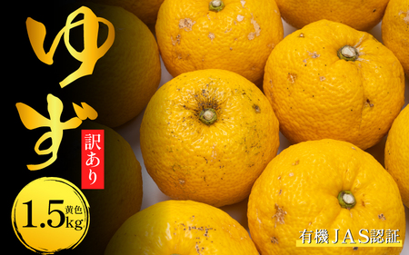 訳あり 柚子 有機ゆず 良品 1.5kg 黄色柚子 [ゆず玉]