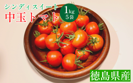 トマト 1kg 高地栽培 中玉トマト シンディスイート トマト トマト トマト トマト