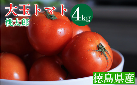 トマト 4kg 高地栽培 大玉トマト 桃太郎 トマト トマト トマト トマト