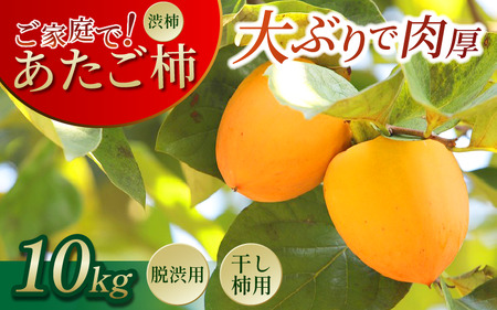ODsY ` 10kg i30ʁ`40ʁj ʕ t[c  JL ya`z