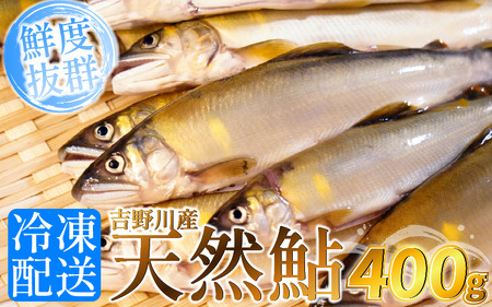 鮎 天然あゆ 1袋 400g 清流 釣り鮎 川魚 鮎 鮎 鮎 鮎