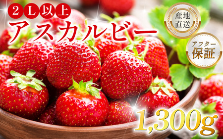  1,300g 2Lȏ AXJr[ yz