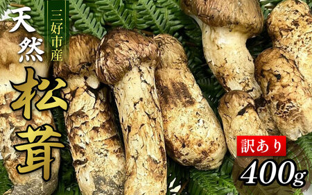 󂠂菼 400g VR ܂yz