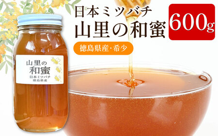 日本みつばち 蜂蜜600g はちみつ 山里の和蜜[蜂蜜]