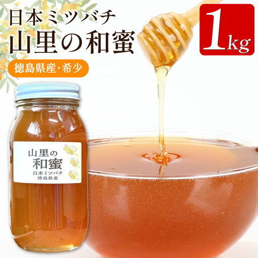 日本みつばち 蜂蜜1kg はちみつ 山里の和蜜 【 はちみつ 】