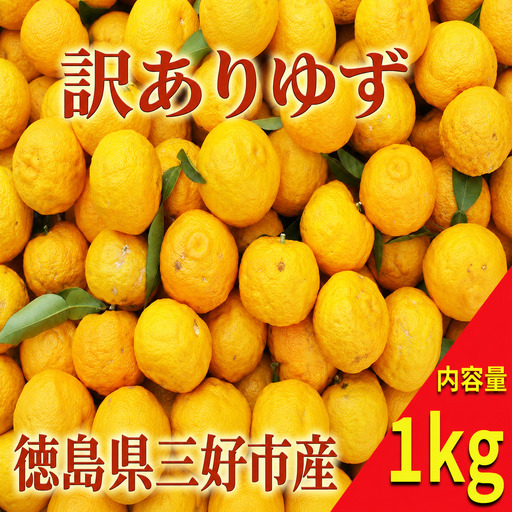 [先行受付 2026年11月~] [訳あり] ゆず 1kg 柑橘 [ ゆず ]