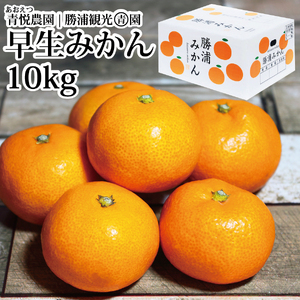 x_ Y݂ S-LLTCY Gi 10kg