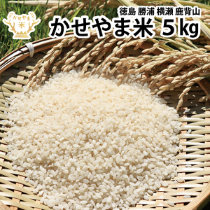 ܕ 5kg