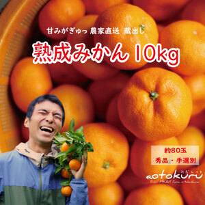 Ƃ on݂ 10kg 80ʑO TCY