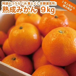 JAƂ Yn݂ 9kg ʃTCY Di