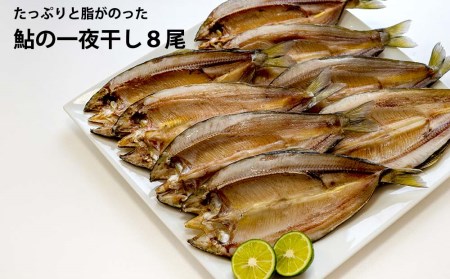 ̈銱 8