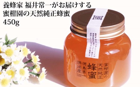 蜜柑園の天然純正蜂蜜 450g