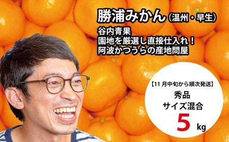 谷内青果 早生みかん 秀品 サイズ混合 5kg