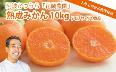 ԉ_ n݂ Gi S-LLTCY 10kg