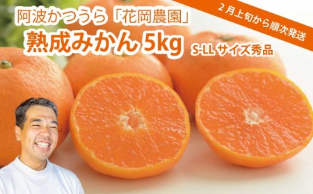 ԉ_ n݂ Gi S-LLTCY 5kg
