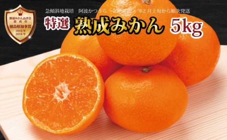  I n݂ Gi S-LLTCY 5kg