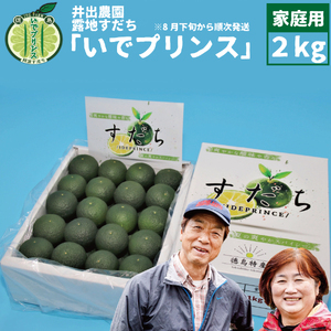 井出農園 露地すだち いでプリンス 家庭用 2kg