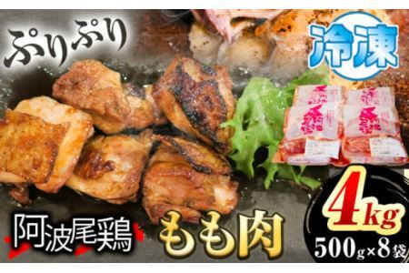 阿波尾鶏 鶏肉 もも肉 500g × 8パック 計4kg 岸農園 [30日以内に出荷予定(土日祝除く)]鶏肉 もも肉 お肉 鳥肉 とり肉 阿波尾鶏 地鶏 大容量 小分け 国産 徳島県産 唐揚げ から揚げ からあげ アウトドア キャンプ 冷凍 もも 肉 便利 送料無料