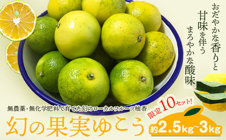 [ 先行予約 ] 幻の果実ゆこう 約2.5kg〜3kg テロワール[2024年10月下旬から出荷(土日祝除く)] 徳島県 上勝町 柚香 柑橘 柚子 ユズ 無農薬 無化学肥料 果物