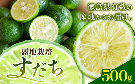 佐那河内名産 露地栽培 すだち 500g 露地すだち スダチ 一般財団法人さなごうち[8月下旬-11月上旬頃出荷]徳島県 佐那河内村 送料無料 スダチ 露地 魚 豆腐 冷奴 焼き魚 天ぷら 刺身 上質 徳島県産