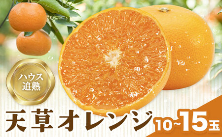 nEXǏn VIW 10ʁ`15ʓ A_s1{oח\t ߉͓ ݂ ~J  k t[c ʕ ́yzsn悠z