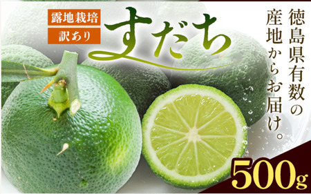 徳島県産 訳ありすだち 約500g[9月中旬-9月末頃に出荷予定(土日祝除く)]徳島県 佐那河内村 すだち サイズ不揃い B級すだち すだち キズあり すだち 不揃い
