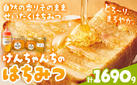 けんちゃんちのはちみつ 200g 300g 460g 730g 全部セット[30日以内に出荷予定(土日祝除く)]ふるさと納税 はちみつ ハチミツ 蜂蜜 国産蜂蜜 天然蜜蜂 徳島県 佐那河内村 送料無料