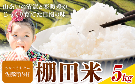 Ɗgޑ́uIcāv 5kg s10{蔭t ߉͓ Ic  