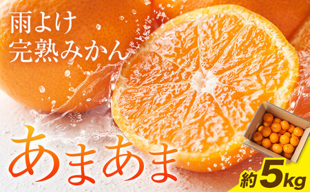 雨よけ完熟みかん「あまあま」選べる内容量 5kg 正木久之[12月下旬-1月中旬]徳島県 佐那河内村 みかん ミカン 蜜柑 柑橘 箱入り 化粧箱 フルーツ 果物 くだもの 贈答[配送不可地域あり]※離島不可