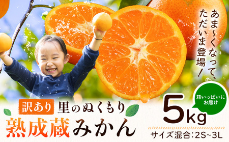 ご家庭用 熟成みかん 5kg 先行予約 みかん 