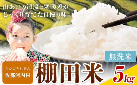 清流と寒暖差が生む村自慢の棚田米 無洗米 5kg[1月中旬-2月下旬]