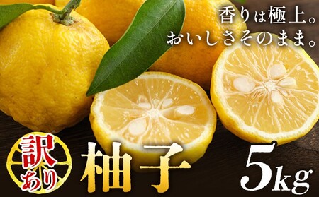 ゆず 訳あり 柚子 約5kg [11月中旬-1月中旬頃発送][配送不可地域あり]※離島