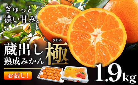 ＼お試し規格╱[極]蔵出し熟成みかん 1.9kg[2月中旬-2月下旬頃出荷]