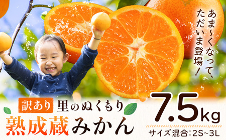 訳あり 熟成みかん 7.5kg  ｜みかん  徳島