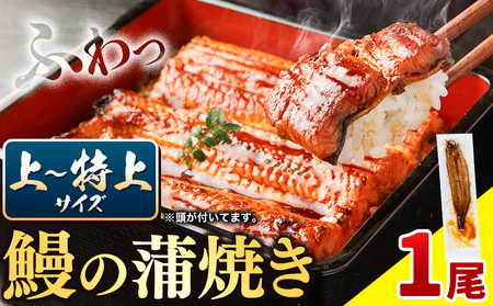 国内産 鰻の蒲焼き 徳島県産 うなぎの蒲焼き 1尾 タレ・山椒付[30日以内に出荷予定(土日祝除く)]うなぎの蒲焼き うなぎ 鰻 蒲焼 蒲焼き ウナギの蒲焼 徳島県産