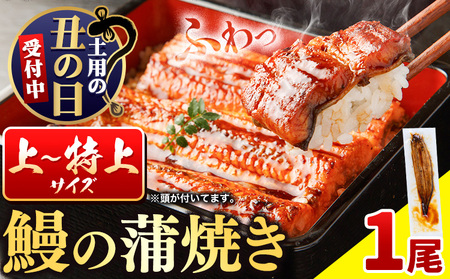 国内産 鰻の蒲焼き 徳島県産 うなぎの蒲焼き 1尾 タレ・山椒付[土用の丑の日予約(7/15〜7/26)]うなぎの蒲焼き うなぎ 鰻 蒲焼 蒲焼き ウナギの蒲焼 徳島県産