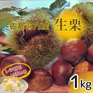 [数量限定]佐那河内産 生栗1kg(サイズ混合)[10月中旬-10月末頃発送]