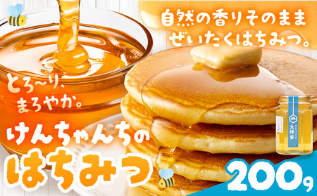 けんちゃんちのはちみつ 200g[30日以内に出荷予定(土日祝除く)]ふるさと納税 はちみつ ハチミツ 蜂蜜 国産蜂蜜 天然蜜蜂 徳島県 佐那河内村 送料無料